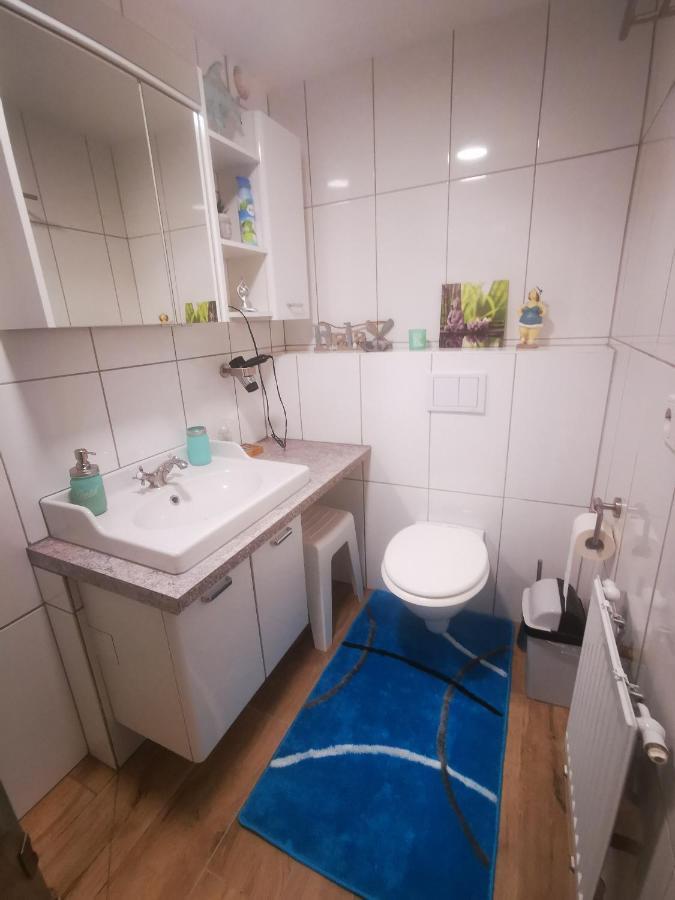 Pension & Apartments Linkemuehle Niederfell 外观 照片