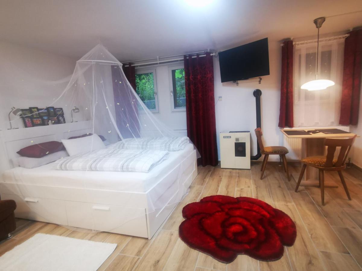 Pension & Apartments Linkemuehle Niederfell 外观 照片