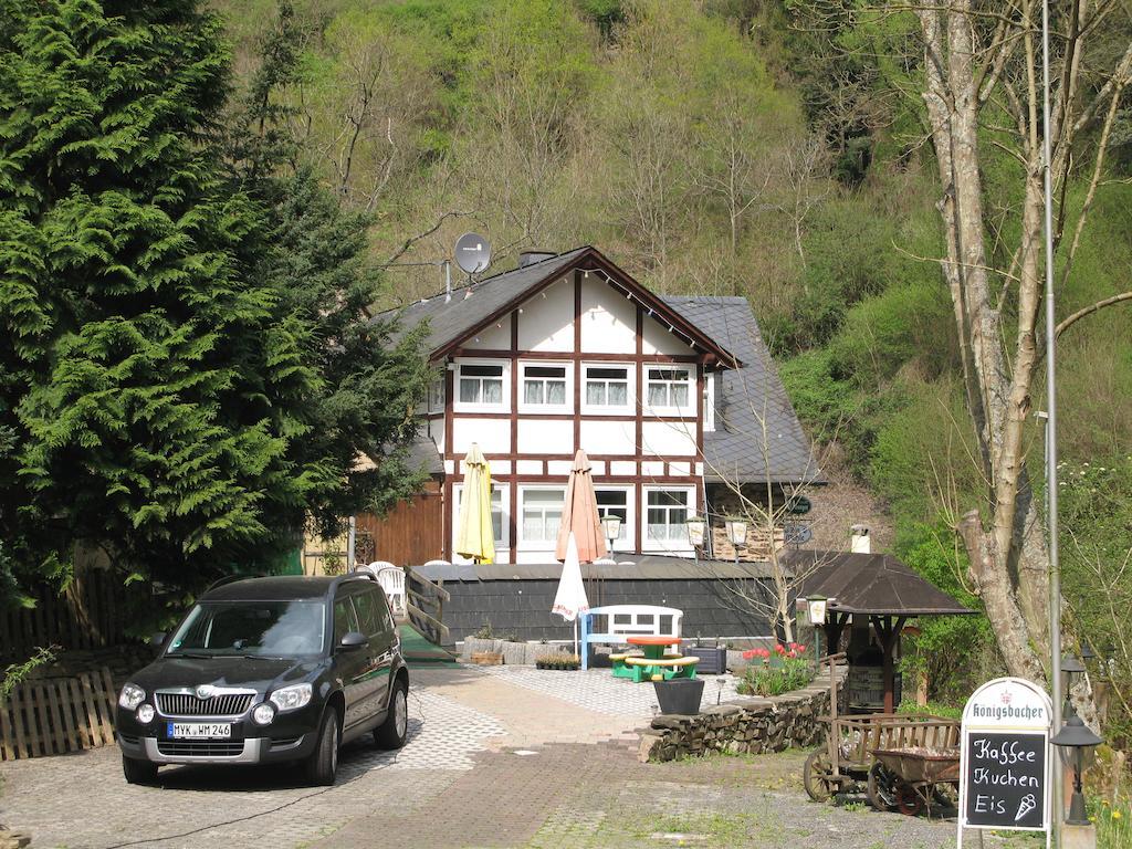 Pension & Apartments Linkemuehle Niederfell 外观 照片