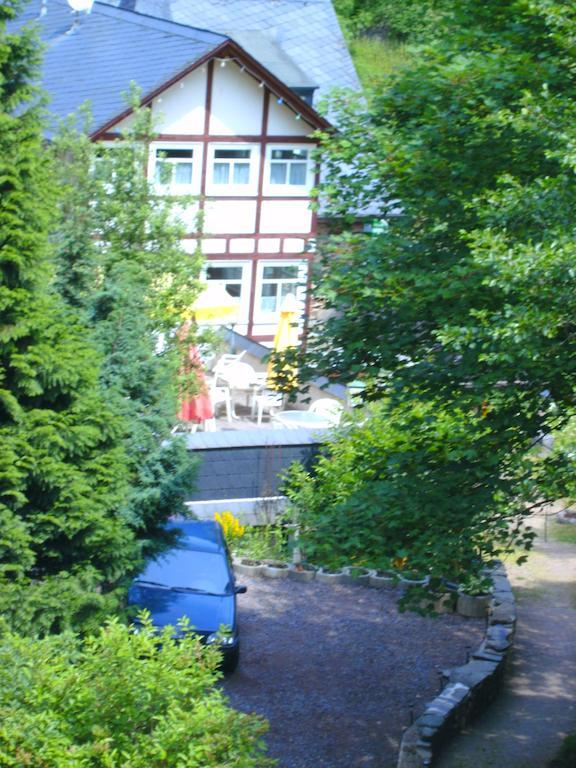 Pension & Apartments Linkemuehle Niederfell 外观 照片