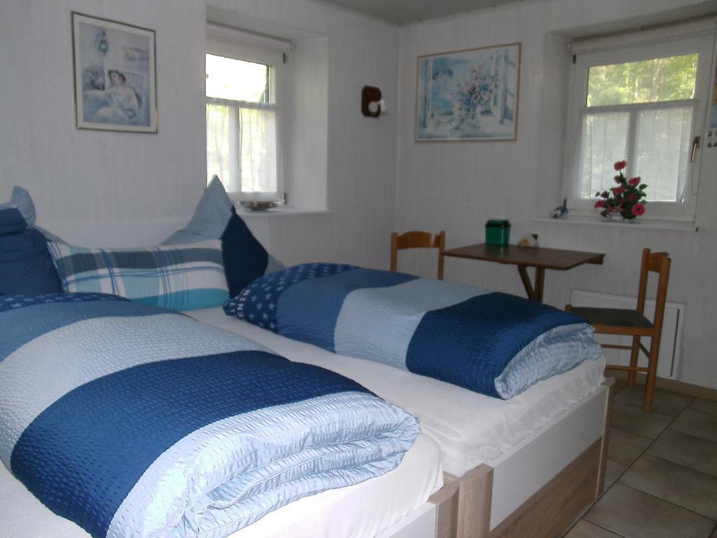 Pension & Apartments Linkemuehle Niederfell 外观 照片